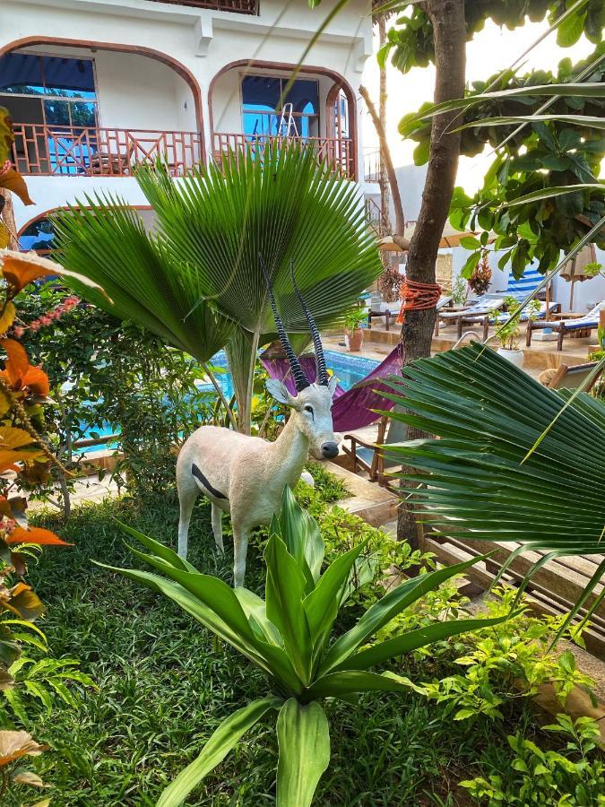 Utulivu Bungalow Nungwi Bagian luar foto